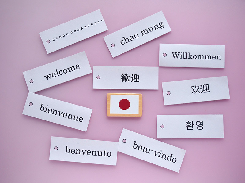 多言語での決済画面表示に対応